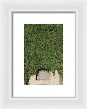 Ivy League - Framed Print