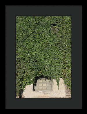 Ivy League - Framed Print