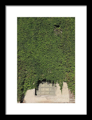 Ivy League - Framed Print