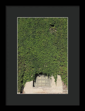 Ivy League - Framed Print