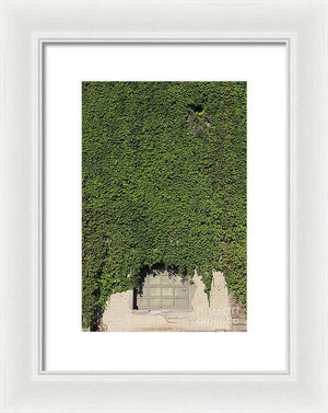 Ivy League - Framed Print