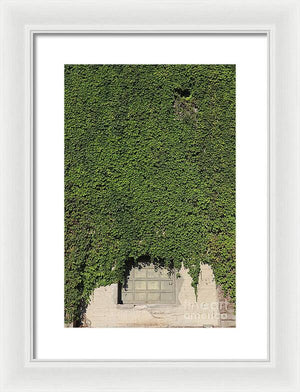 Ivy League - Framed Print