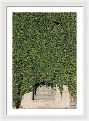 Ivy League - Framed Print