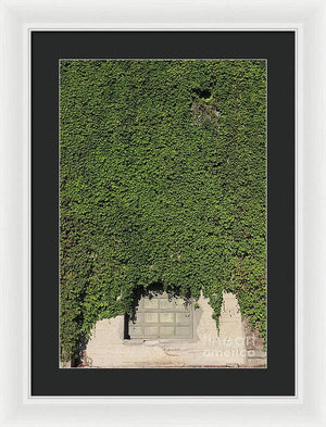 Ivy League - Framed Print