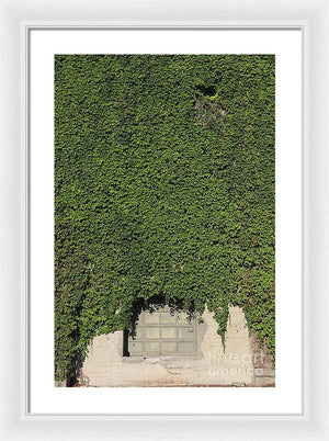 Ivy League - Framed Print