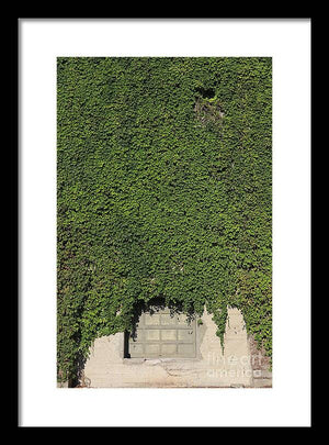 Ivy League - Framed Print