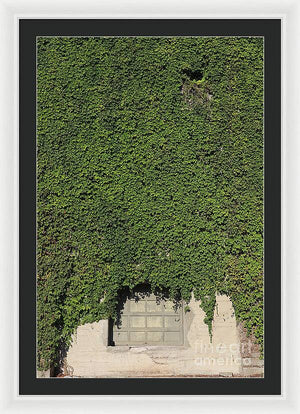 Ivy League - Framed Print