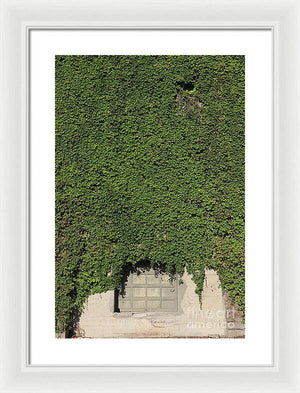 Ivy League - Framed Print