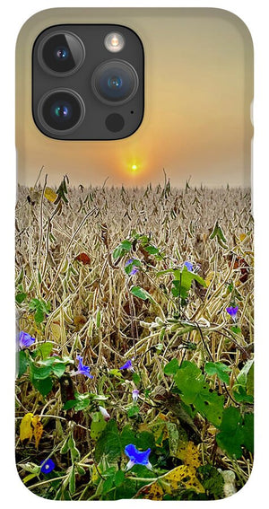 Morning Glory - Phone Case