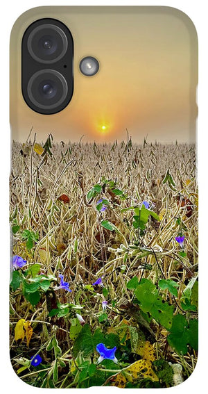 Morning Glory - Phone Case