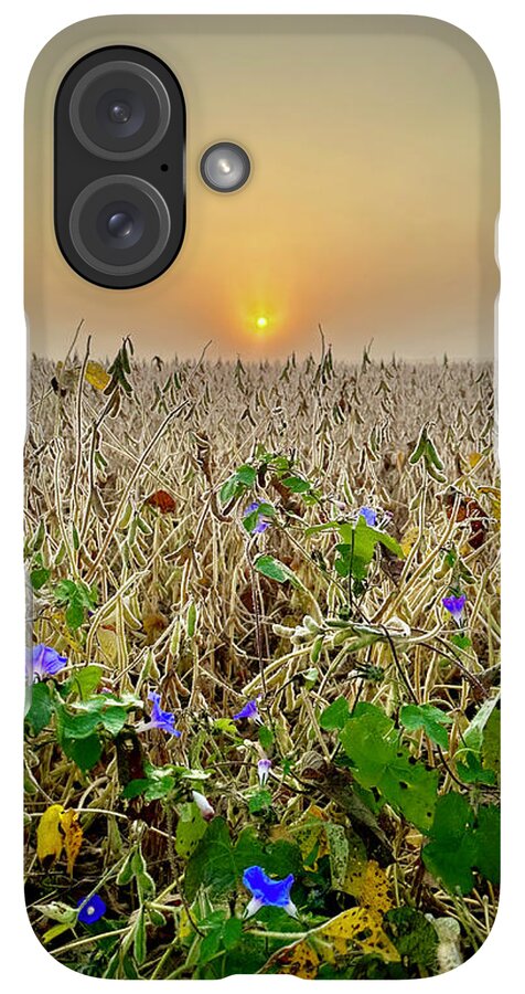 Morning Glory - Phone Case