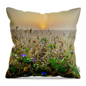 Morning Glory - Throw Pillow