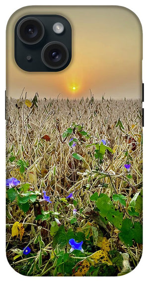 Morning Glory - Phone Case