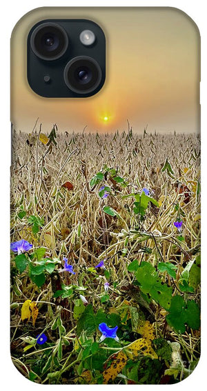 Morning Glory - Phone Case