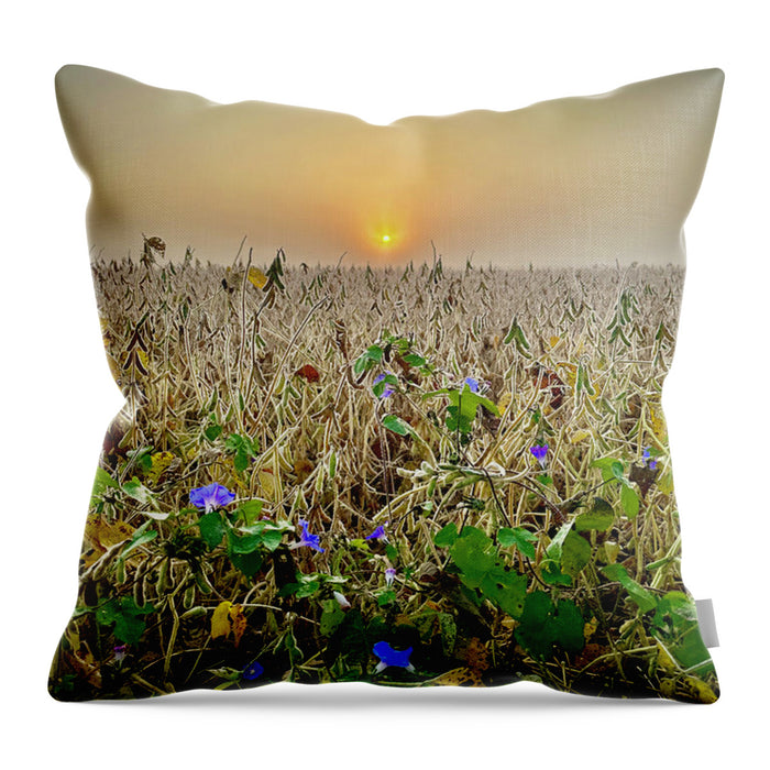 Morning Glory - Throw Pillow