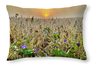 Morning Glory - Throw Pillow