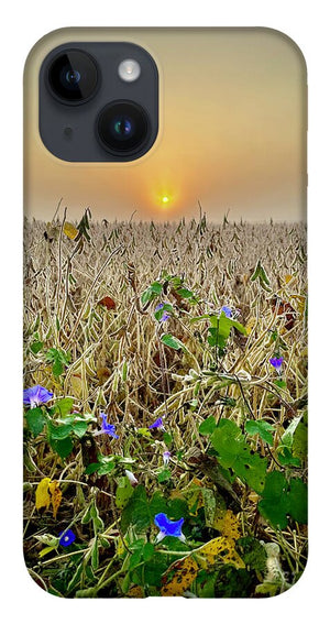 Morning Glory - Phone Case