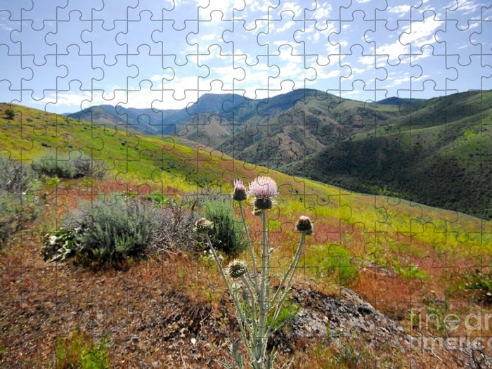 Mountain Thistle - Puzzle