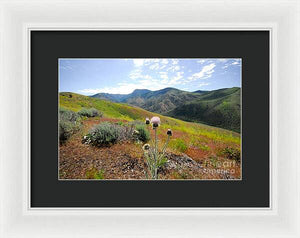 Mountain Thistle - Framed Print