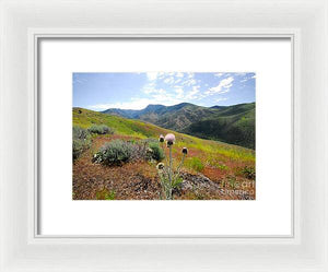 Mountain Thistle - Framed Print