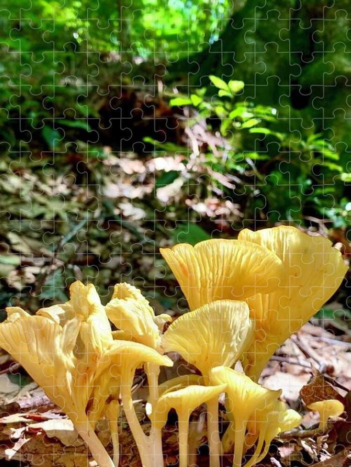 Mushroom Stand - Puzzle