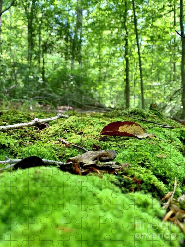 Natural Carpet - Puzzle