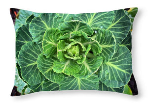 Natures Mandala - Throw Pillow