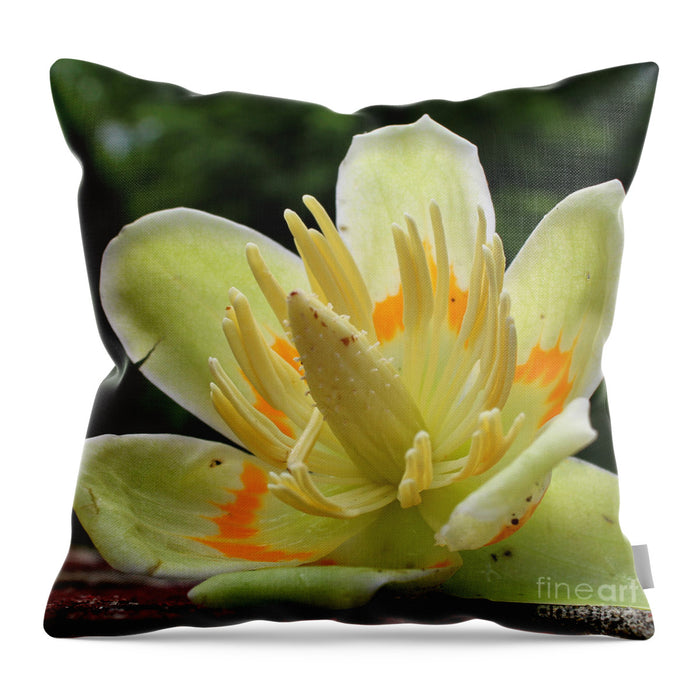 Pretty Poplar - Throw Pillow