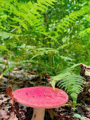 Red Mushroom - Puzzle