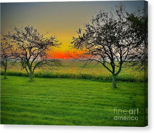 Stunning Sunrise - Canvas Print