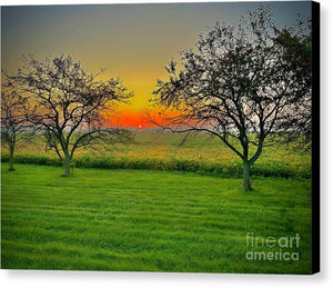 Stunning Sunrise - Canvas Print