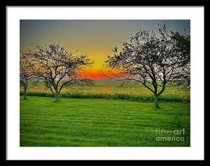 Stunning Sunrise - Framed Print