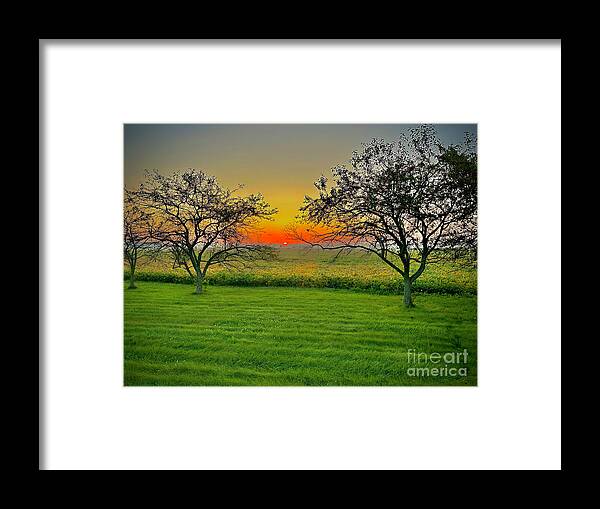 Stunning Sunrise - Framed Print