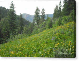 The Hills Are Alive - Canvas Print