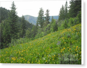 The Hills Are Alive - Canvas Print