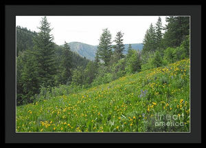 The Hills Are Alive - Framed Print