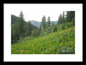 The Hills Are Alive - Framed Print