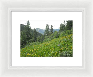 The Hills Are Alive - Framed Print