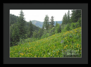 The Hills Are Alive - Framed Print