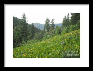 The Hills Are Alive - Framed Print