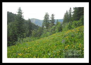 The Hills Are Alive - Framed Print