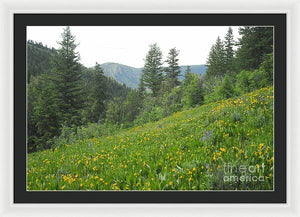 The Hills Are Alive - Framed Print