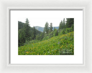 The Hills Are Alive - Framed Print