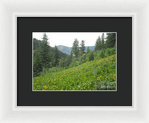 The Hills Are Alive - Framed Print