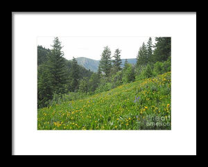 The Hills Are Alive - Framed Print