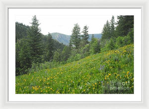 The Hills Are Alive - Framed Print