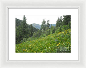 The Hills Are Alive - Framed Print