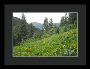 The Hills Are Alive - Framed Print