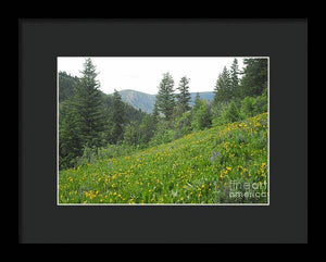 The Hills Are Alive - Framed Print