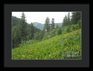 The Hills Are Alive - Framed Print